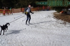 Belvederský sprint, 1. skijöringový závod na Železnorudsku