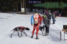 Belvederský sprint, 1. skijöringový závod na Železnorudsku
