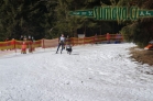 Belvederský sprint, 1. skijöringový závod na Železnorudsku
