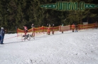 Belvederský sprint, 1. skijöringový závod na Železnorudsku