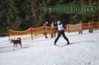 Belvederský sprint, 1. skijöringový závod na Železnorudsku