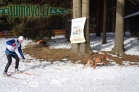 Belvederský sprint, 1. skijöringový závod na Železnorudsku