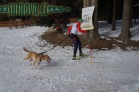 Belvederský sprint, 1. skijöringový závod na Železnorudsku