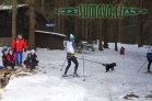 Belvederský sprint, 1. skijöringový závod na Železnorudsku