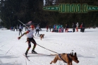 Belvederský sprint, 1. skijöringový závod na Železnorudsku