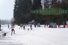 Belvederský sprint, 1. skijöringový závod na Železnorudsku