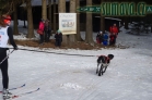 Belvederský sprint, 1. skijöringový závod na Železnorudsku