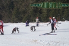 Belvederský sprint, 1. skijöringový závod na Železnorudsku
