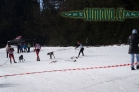 Belvederský sprint, 1. skijöringový závod na Železnorudsku
