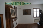 Bílkova vila, Chýnov