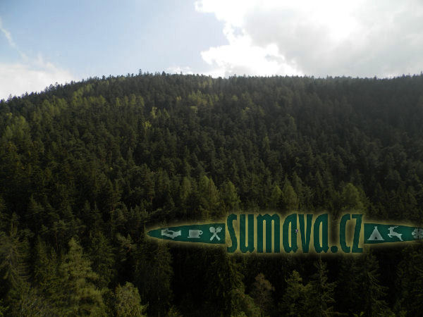 přírodní rezervace Borek u Velhartic