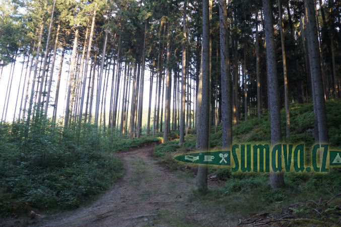 přírodní rezervace Borek u Velhartic