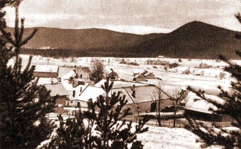 Borová Lada (historické)