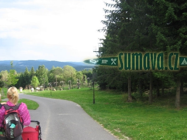 Bučina