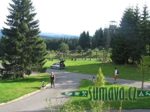 Bučina