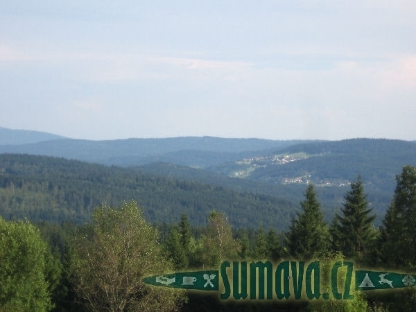 Bučina