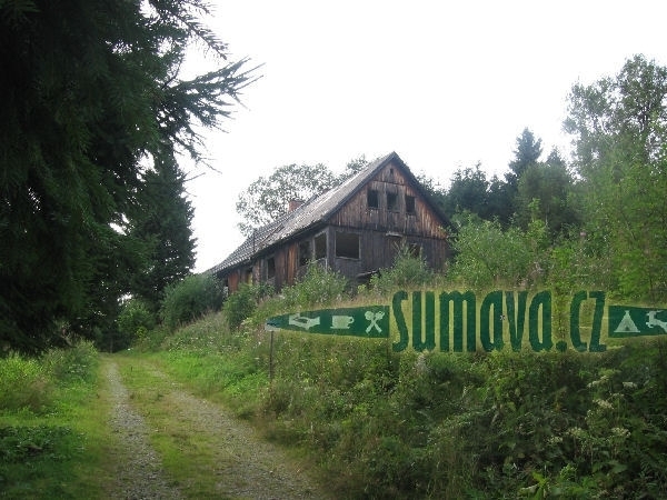 Bučina
