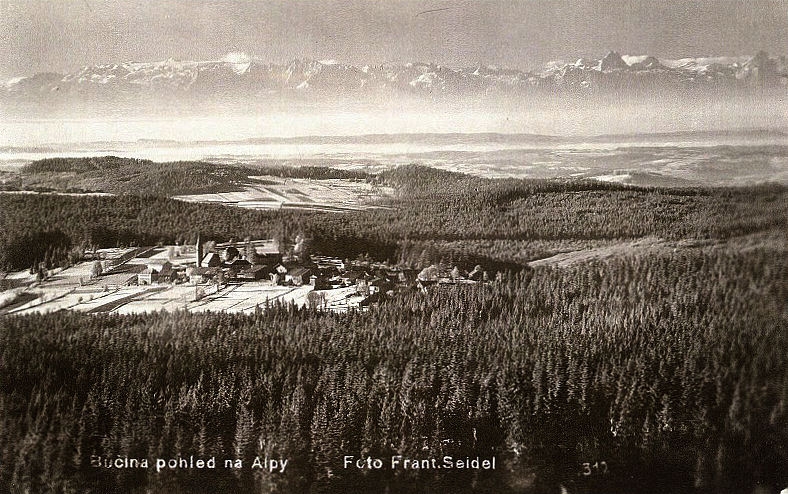 Bučina (historické)