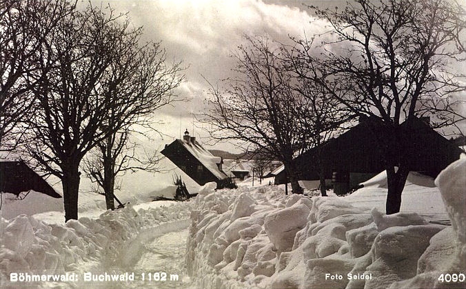 Bučina (historické)