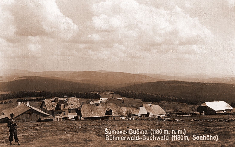 Bučina (historické)