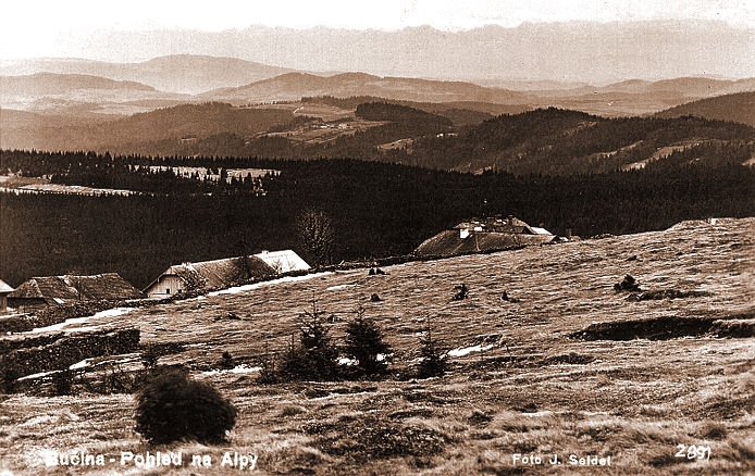 Bučina (historické)