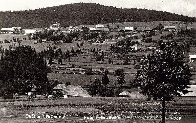 Bučina (historické)