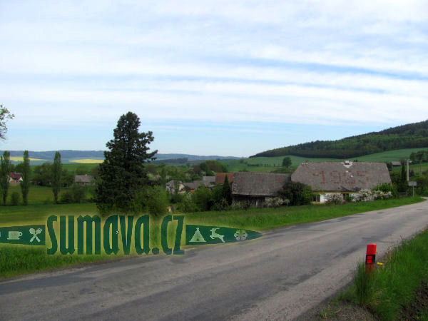 Buková