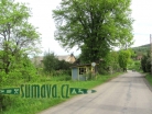 Buková