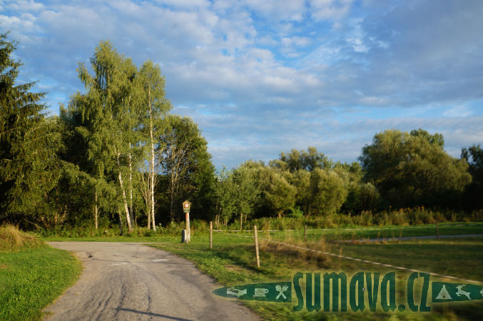 Cetviny