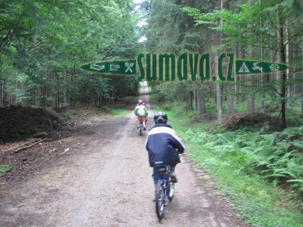 cyklostezka Železná Ruda - Wildnis