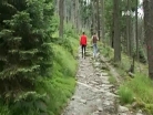 Cyklotoulky - Hamry