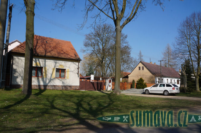 Dřevec