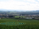 Domažlice