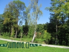Domažlice