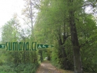 dub u Dvora, Nemilkov