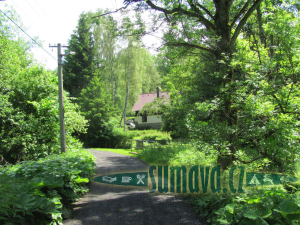 Eisnerův Dvůr, Javorná