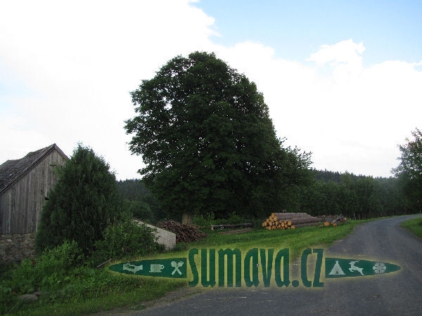 Čeletice