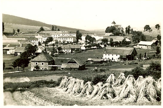 Želnava (historické)
