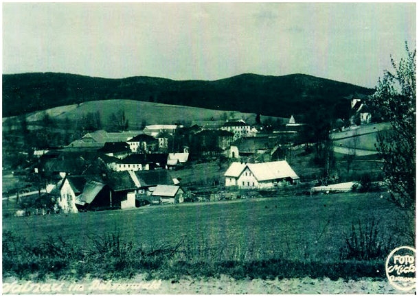 Želnava (historické)