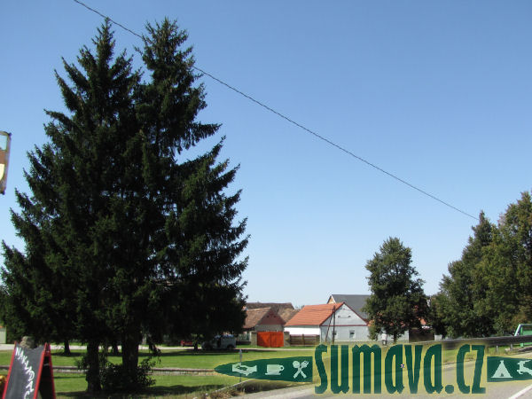 Češnovice