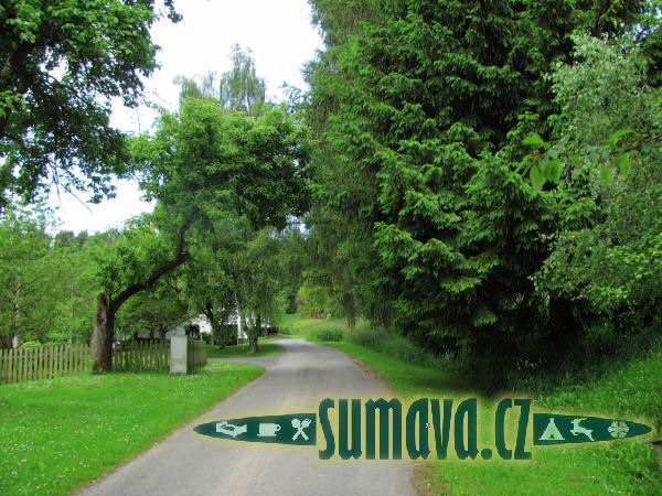 Černé Krávy