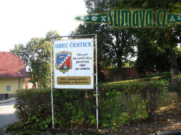 Čestice
