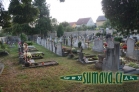 hřbitov Dolní Dvořiště