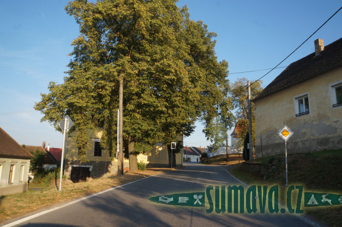 Heřmaň