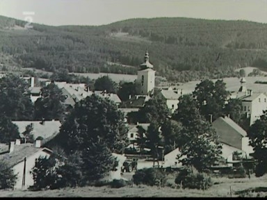 Hledání ztraceného času, kamery 4 - Volary