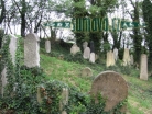 židovský hřbitov Dolní Lukavice