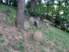 židovský hřbitov Dolní Lukavice