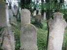 židovský hřbitov Dolní Lukavice