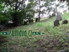 židovský hřbitov Dolní Lukavice