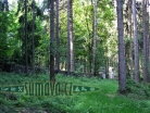 židovský hřbitov Loučim